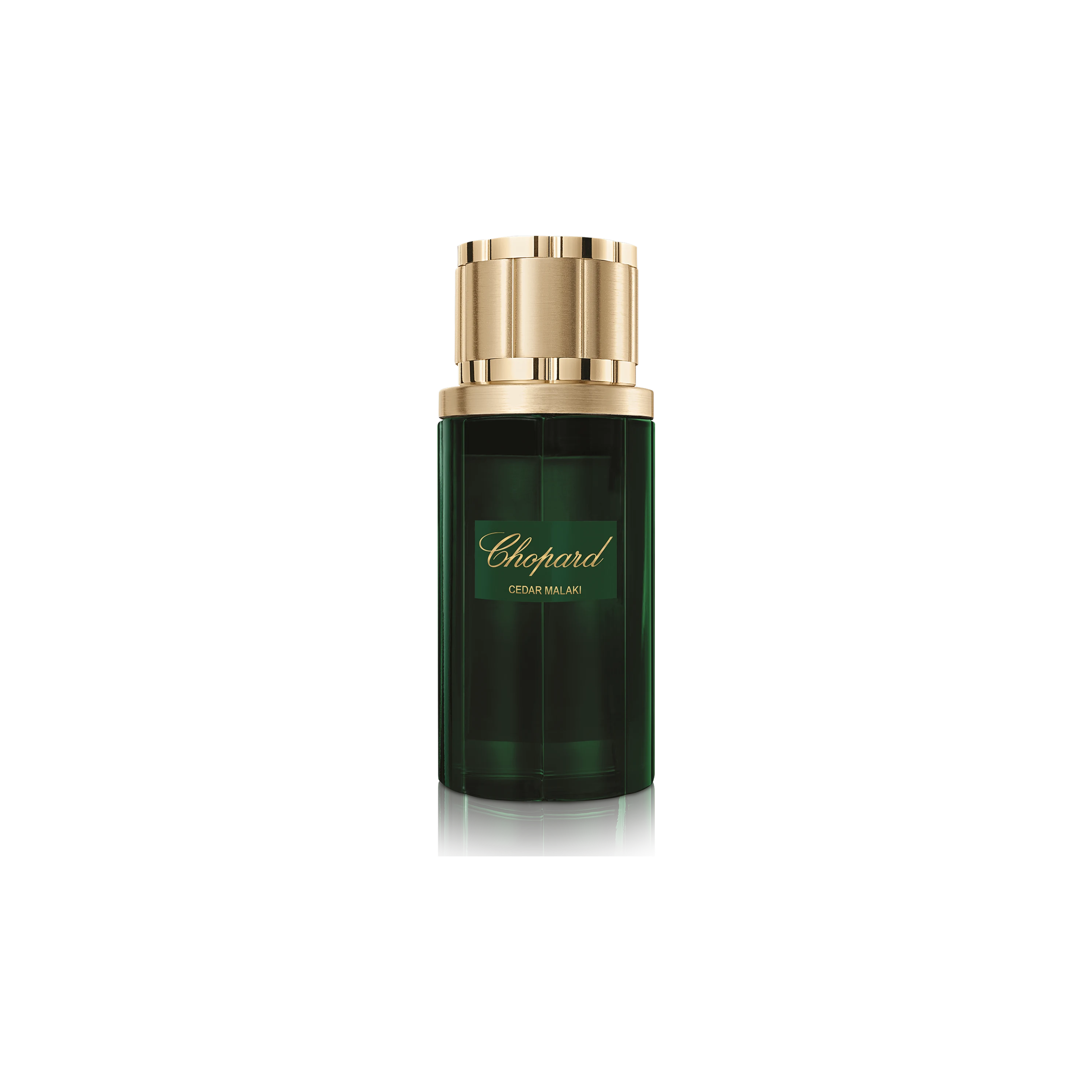 CEDAR MALAKI