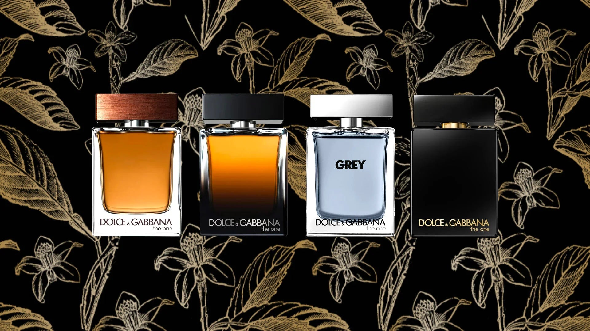 Collection de parfums Dolce & Gabbana disponible chez Scent Corner au Maroc