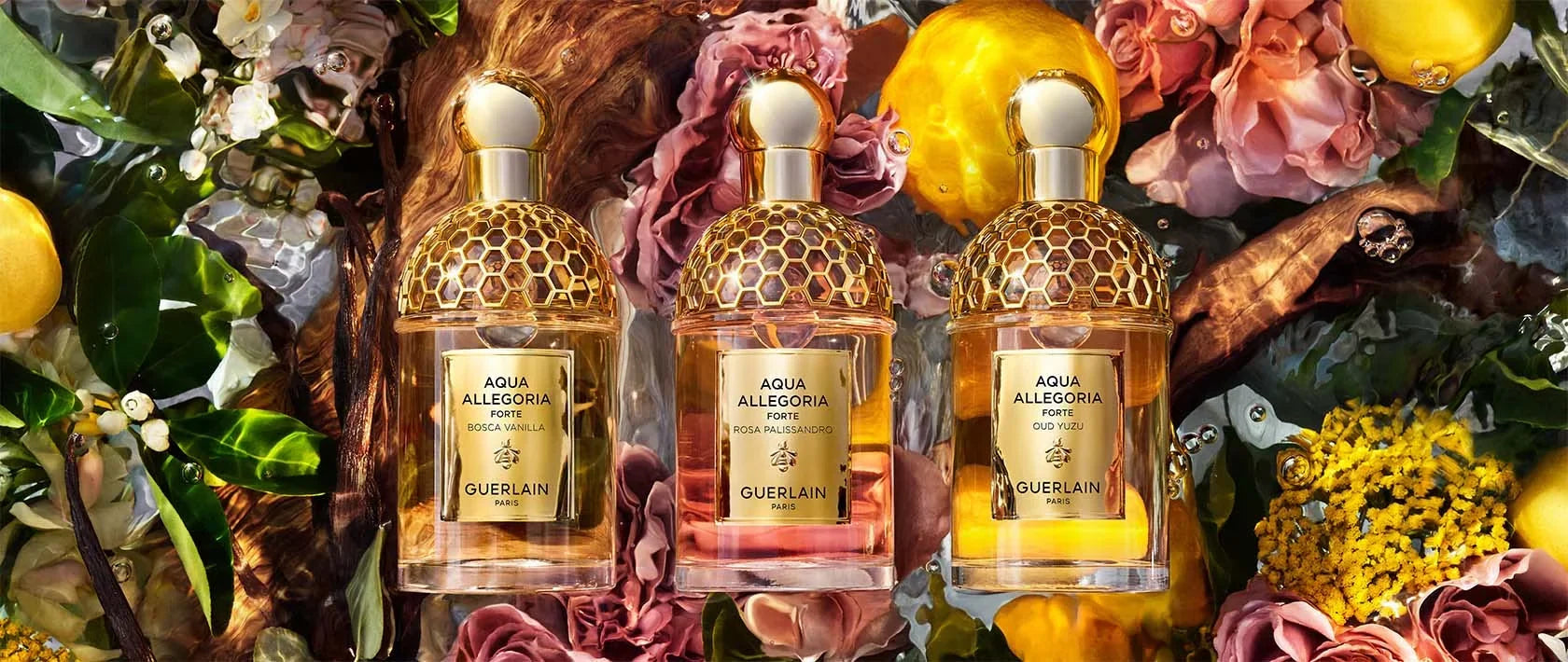 Collection de parfums Guerlain disponible chez Scent Corner au Maroc