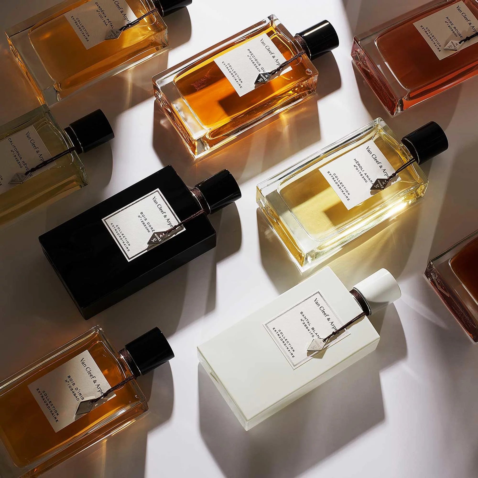 Bois d'Iris- Collection Extraordinaire - Eau de Parfum