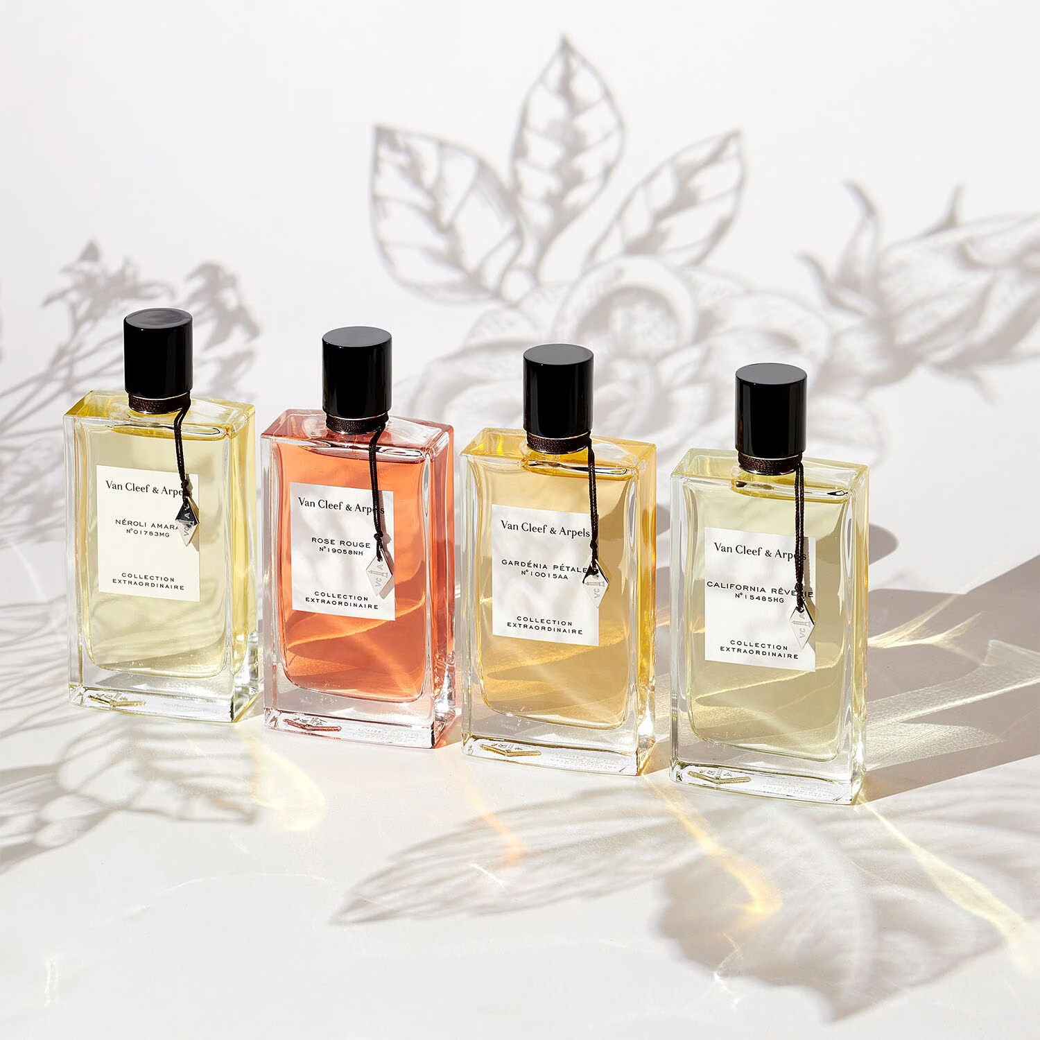 Néroli Amara - Collection Extraordinaire - Eau de Parfum