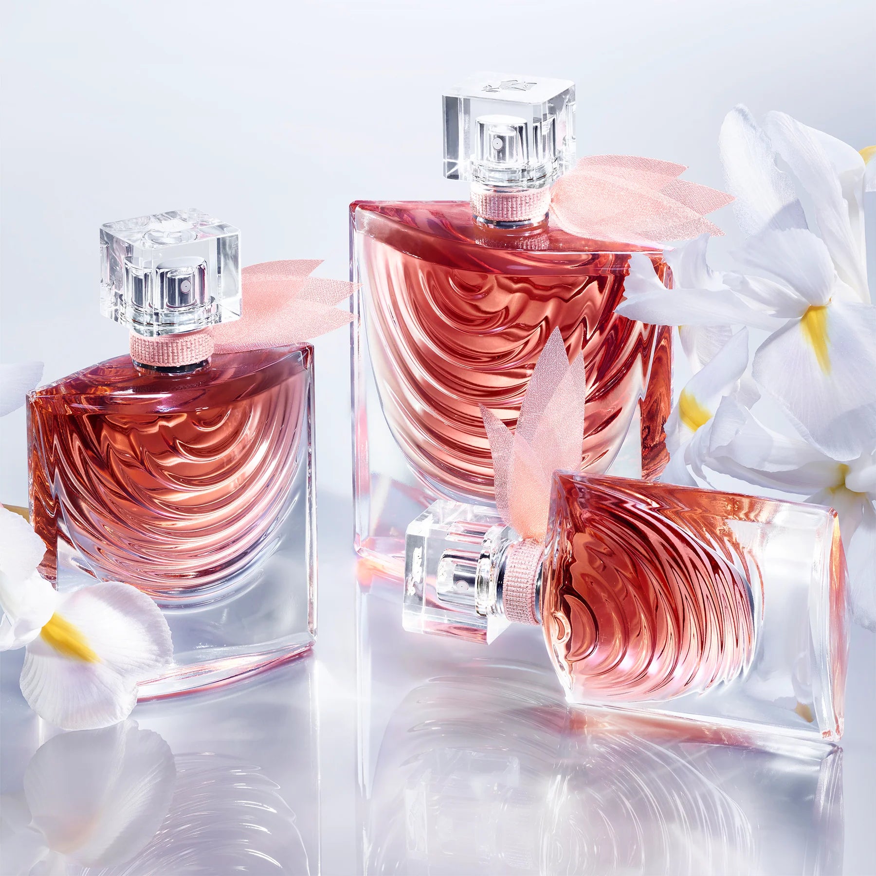 LA VIE EST BELLE IRIS ABSOLU EDP